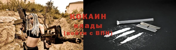 СК Ельня