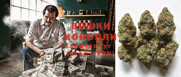 соль ск Елабуга