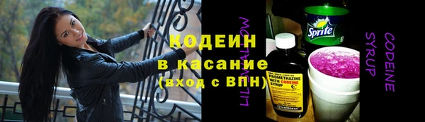 дурь Алзамай