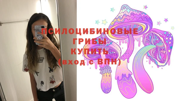 2c-b Каменногорск