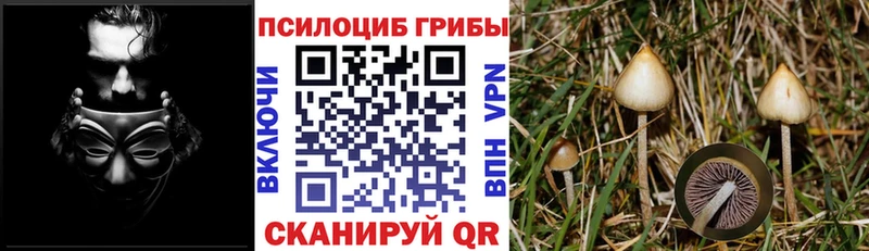 МЕГА зеркало darknet наркотические препараты Псилоцибиновые грибы Psilocybe Дудинка